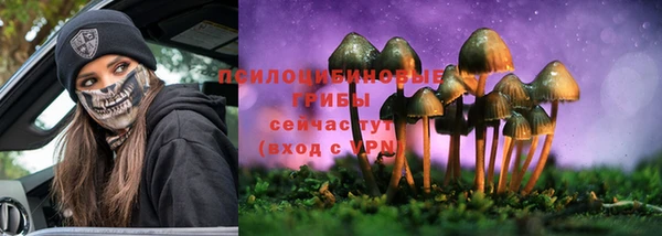 apvp Киреевск